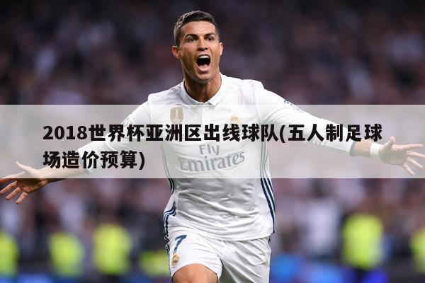 2018世界杯亚洲区出线球队(五人制足球场造价预算)