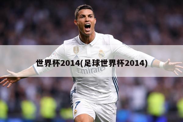 世界杯2014(足球世界杯2014)
